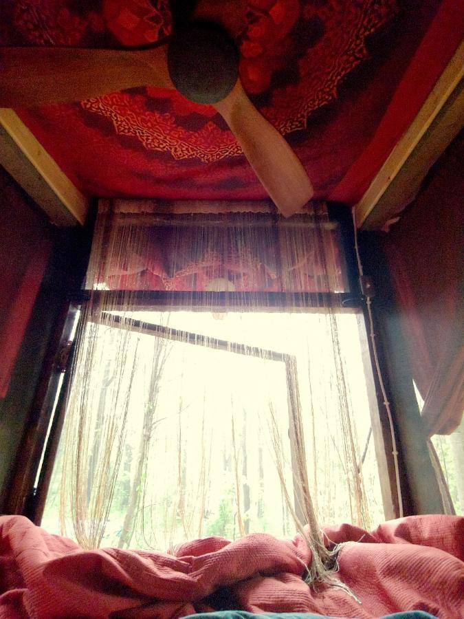Lost River Hostel เฟรนช์ลิค ภายนอก รูปภาพ